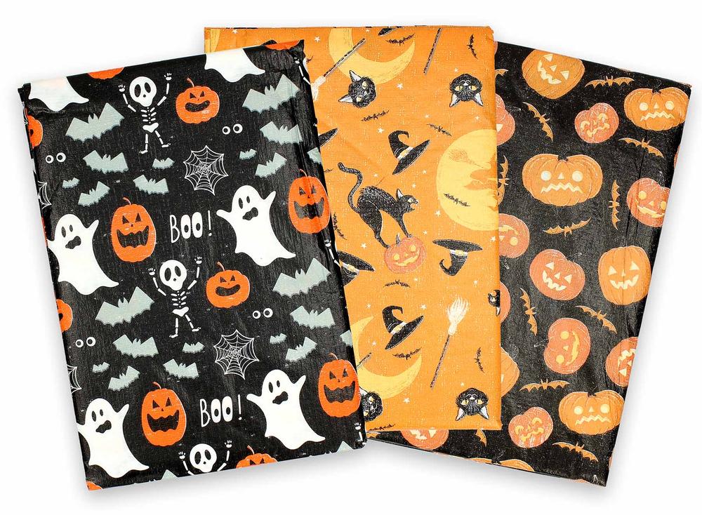 1255631 2025_All.jpg